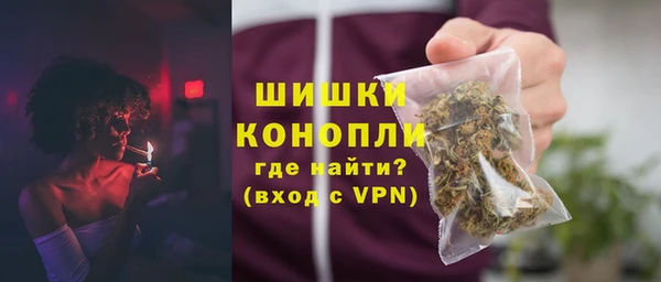прущие грибы Беломорск