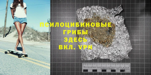 прущие грибы Беломорск