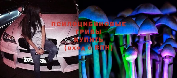 винт Белокуриха
