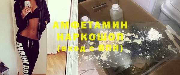прущие грибы Беломорск