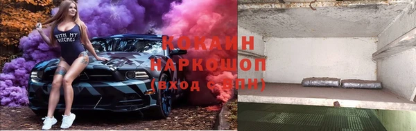 прущие грибы Беломорск