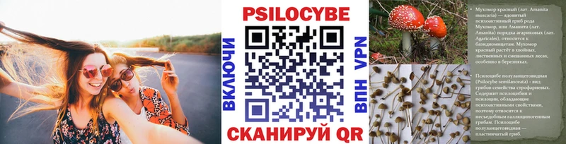 Псилоцибиновые грибы мухоморы  даркнет формула  Покровск 